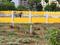 Gandigunta Plot View 2