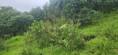 Image of 78000 Sq.ft Residential Plot / Land for sale in Varasgaon, Pune for Rs. 23400000