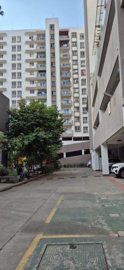 TCG Gardenia Main Image 1