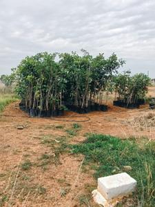 Image of 2400 Sq.ft Residential Plot / Land for sale in Thiruvallur, Chennai for Rs. 1917600
