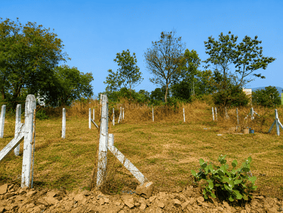 Image of 2189 Sq.ft Residential Plot / Land for sale in Punawale, Pune for Rs. 5900000