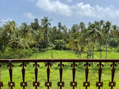 Balcony Image of 3415 Sq.ft 4 BHK Villa for sale in Morjim Goa for Rs. 65500000