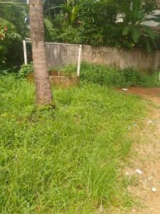 Image of 5009 Sq.ft Residential Plot / Land for sale in Cheroor, Thrissur for Rs. 6900000
