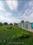 Balaji serenity Plot View 2