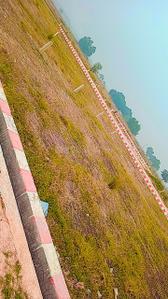 Image of 1000 Sq.ft Residential Plot / Land for sale in Gauhania, Allahabad for Rs. 800000