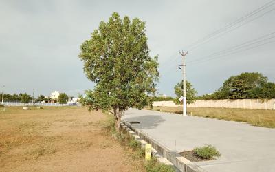 Image of 1500 Sq.ft Residential Plot / Land for sale in KK Nagar, Tiruchirappalli for Rs. 5600000
