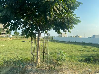 Image of 1215 Sq.ft Residential Plot / Land for sale in Wave City, Ghaziabad for Rs. 16000000