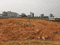 Atchutapuram Main Image 1