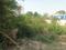Vasant Kunj Main Image 1