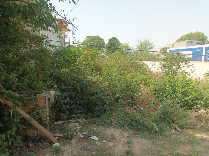 Vasant Kunj Main Image 1