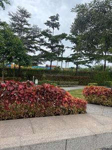 Image of 2200 Sq.ft Residential Plot / Land for sale in Armada Oscar Pride, Umrikheda, Indore for Rs. 24200000