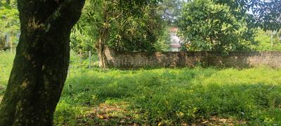 Image of 3045 Sq.ft Residential Plot / Land for sale in Mulanthuruthy, Kochi for Rs. 3500000