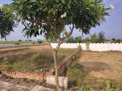 Image of 624 Sq.ft Residential Plot / Land for sale in Del NCR Aerocity Jewar, Shahpur Kala, Greater Noida for Rs. 1610300
