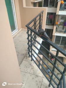 Balcony Image of 1312 Sq.ft 3 BHK Apartment / Flat for rent in North Grande, North Dum Dum Bediapara Kolkata for Rs. 30000