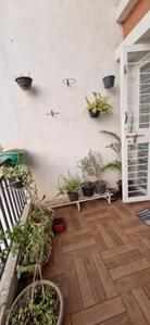 Balcony Image of 800 Sq.ft 2 BHK Apartment / Flat for rent in Gaikwad Miro, Punawale Pune for Rs. 25000