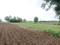 Sarde Plot View 2