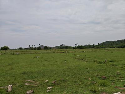 Image of 980 Sq.ft Residential Plot / Land for sale in Singaperumal Koil, Chennai for Rs. 1469032