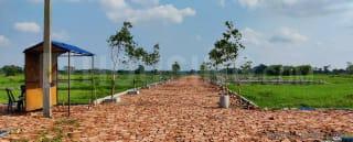Bardhanpalli Plot View 2