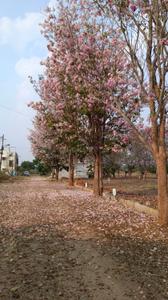 Image of 1200 Sq.ft Residential Plot / Land for sale in Chandapura, Bengaluru for Rs. 5400000