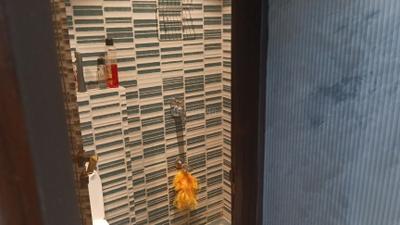 Jeevan Sona Bathroom Three 4