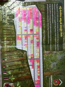 Image of 200 Sq.ft Residential Plot / Land for sale in Kothavalasa, Visakhapatnam for Rs. 1300000