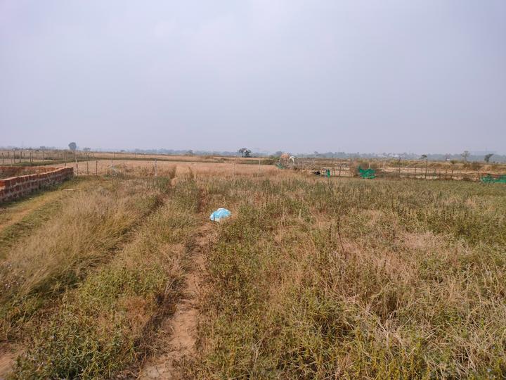 Bhagawanpur Main Image 1