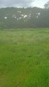 Rajarhat Chowmatha Plot View 3