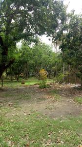 Image of 72000 Sq.ft 1 BHK Farm House for sale in Madhyamgram, Kolkata for Rs. 42500000
