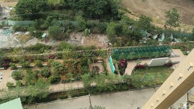 Image of 750 Sq.ft 2 BHK Apartment / Flat for sale in Godrej Parkridge, Manjari Khurd, Pune for Rs. 7200000