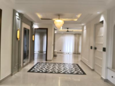 Living Room Image of 1500 Sq.ft 2 BHK Builder Floor for rent in Palam Vihar Gurgaon for Rs. 31000
