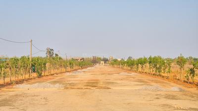 Image of 538 Sq.ft Residential Plot / Land for sale in Sejbahar, Raipur for Rs. 1345000