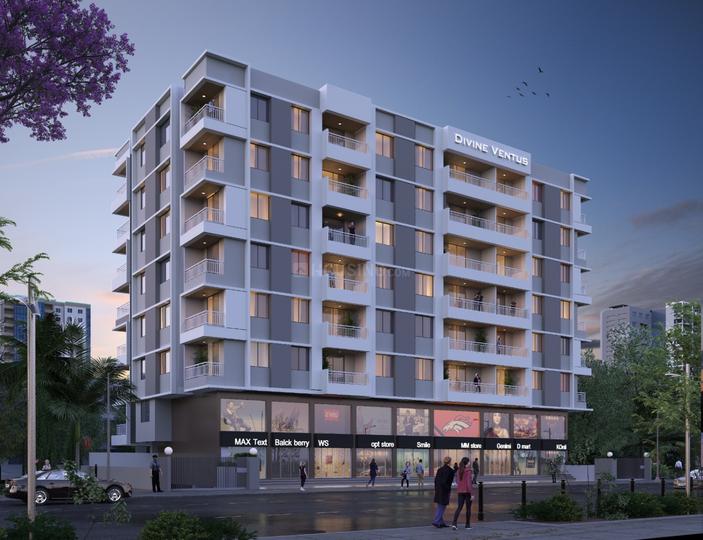 Divine Vintus Moshi Main Image 1