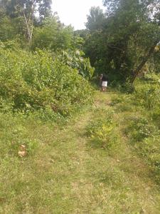 Image of 10890 Sq.ft Residential Plot / Land for sale in Killannur, Thrissur for Rs. 3125000