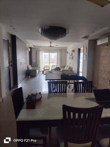 Hall Image of 2500 Sq.ft 4 BHK Builder Floor for rent in Sector 49 Gurgaon for Rs. 78000