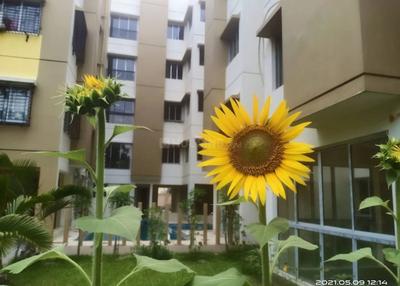 Image of 810 Sq.ft 2 BHK Apartment / Flat for rent in Mayfair Elite, Narendrapur, Kolkata for Rs. 15000