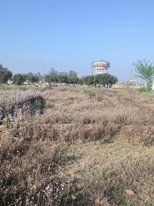 Image of 1149 Sq.ft Residential Plot / Land for sale in Sonakpur, Moradabad for Rs. 3200000