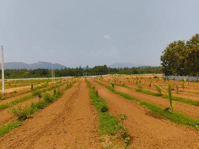Image of 16200 Sq.ft 2 BHK Farm House for rent in Devarapalli, Visakhapatnam for Rs. 15000