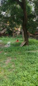 Image of 1250 Sq.ft 2 BHK Independent House for rent in Jeppinamogaru, Mangalore for Rs. 55000