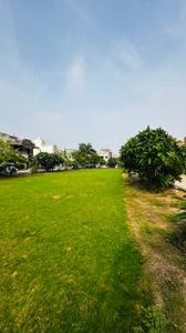 Image of 1231 Sq.ft Residential Plot / Land for sale in Kingstown, Dunda, Raipur for Rs. 4677800