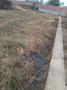 Garchuk Plot View 2