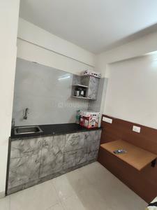 Kitchen Image of 450 Sq.ft 1 RK Apartment / Flat for rent in Kadubeesanahalli Bengaluru for Rs. 20001