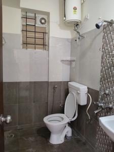 Common Bathroom Image of 1100 Sq.ft 2 BHK Apartment / Flat for rent in New Tippasandra Bengaluru for Rs. 34000