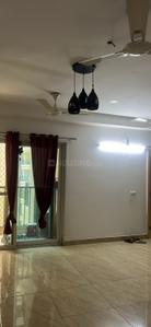 Hall Image of 1375 Sq.ft 3 BHK Apartment / Flat for rent in Gaurs 14th Avenue, Noida Extension Greater Noida for Rs. 23000