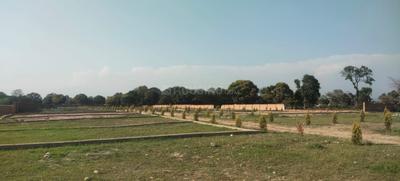 Image of 200 Sq.ft Residential Plot / Land for sale in Selakui, Dehradun for Rs. 1000000