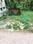 Tripunithura Plot View 2