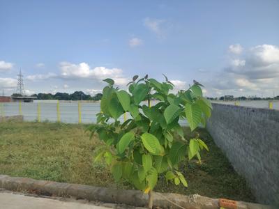 Image of 900 Sq.ft Residential Plot / Land for sale in Bhanauta, Greater Noida for Rs. 3502900