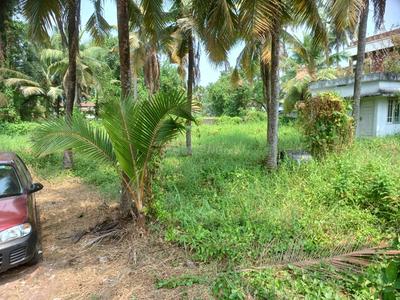 Keralarealty Plot View 2
