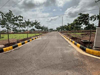 JB Harmony Woods Plot View 2