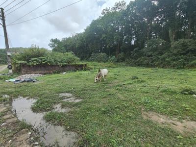 Image of 6165 Sq.ft Residential Plot / Land for sale in Garhi Cantt, Dehradun for Rs. 26000000