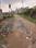 Bank colony Main Image 1
